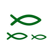 3 Holz Fische im Mix Deko Fische als Streudeko Tischdeko für Taufe Kommunion Konfirmation - grün