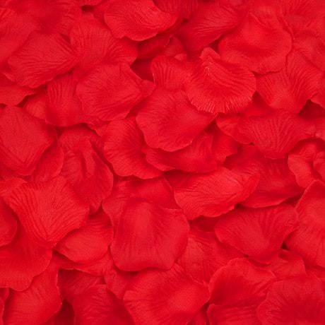 100 Rosenblätter Rosenblüten Hochzeit Deko Valentinstag Rose - rot