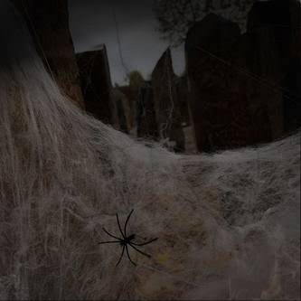 6x Spinnen + Spinnennetz Spinnweben Grusel Horror Tisch Deko Halloween